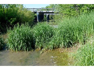 Property photo 75 - LAND AUCTION - 215+/- ACRES OFFERED IN 6 TRACTS IN VAN WERT COUNTY, OHIO